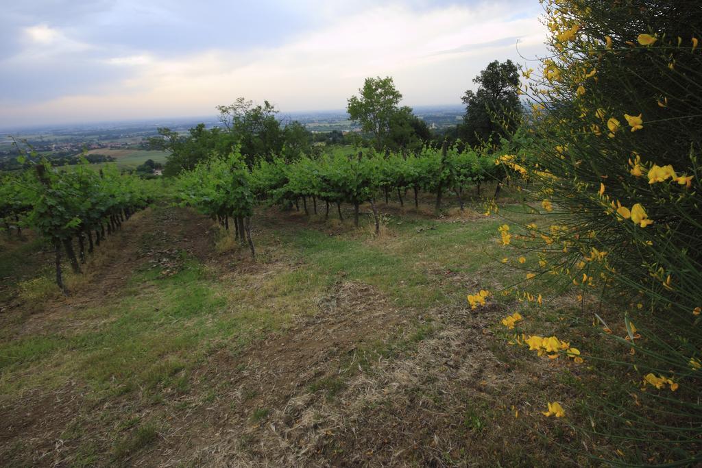 Agriturismo Gaggioli Borgo Delle Vigne Zola Predosa Exterior foto
