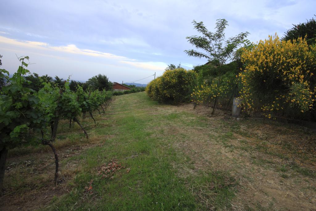 Agriturismo Gaggioli Borgo Delle Vigne Zola Predosa Exterior foto