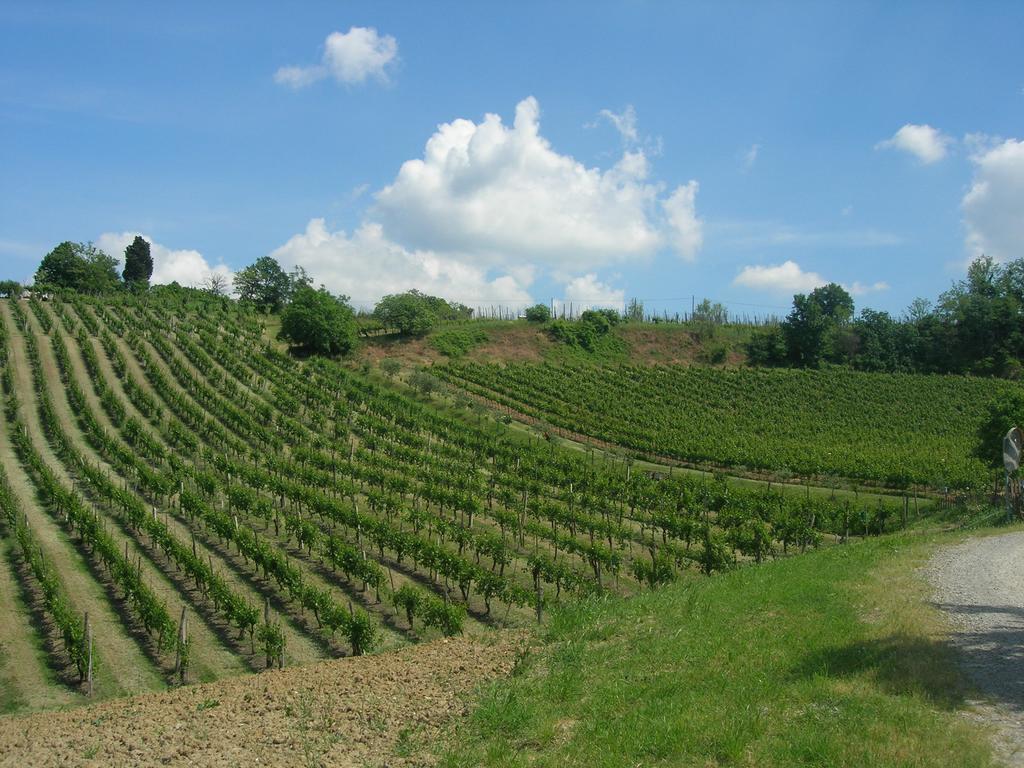 Agriturismo Gaggioli Borgo Delle Vigne Zola Predosa Exterior foto