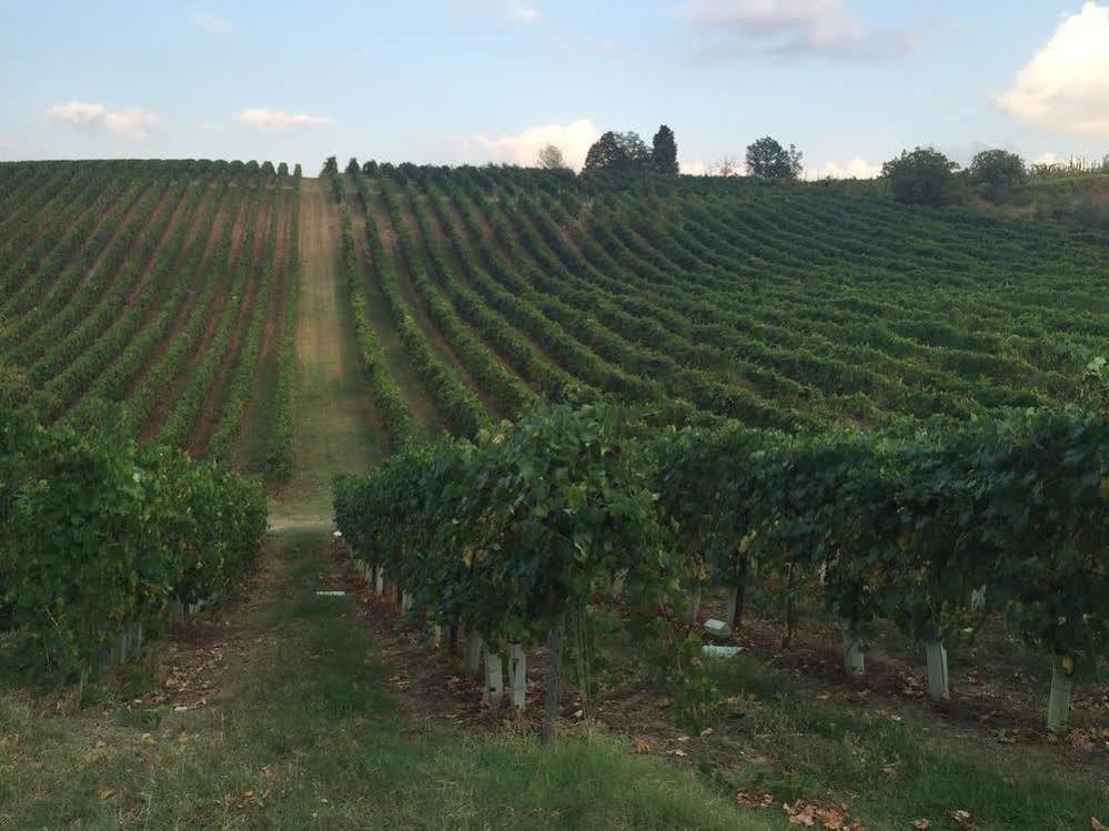 Agriturismo Gaggioli Borgo Delle Vigne Zola Predosa Exterior foto